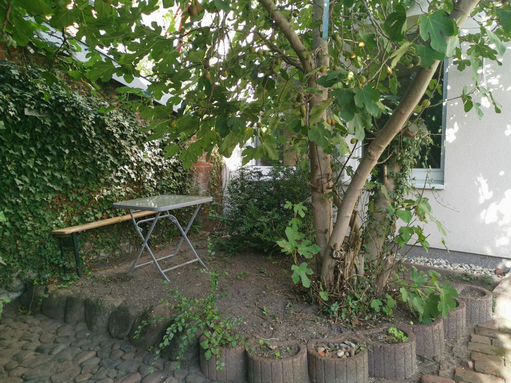 Haus Am Hafen Villa Neustadt in Holstein Exteriör bild